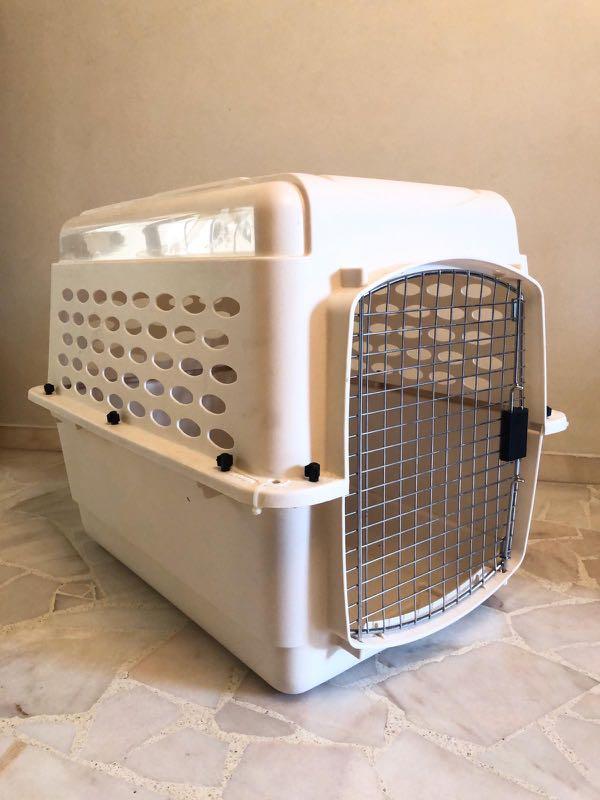 Dog Crate / Carrier, Pet Supplies, Homes & Other Pet Accessories on