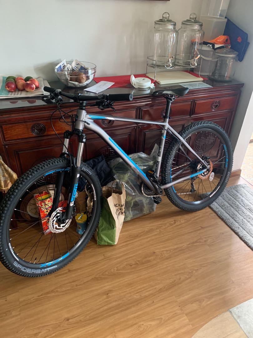 polygon xtrada 8 2021