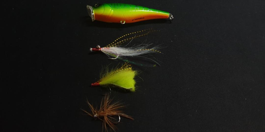 Popper flies! Fishing flies set! Peacock bass!, Sports Equipment