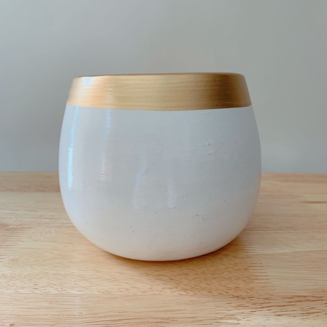 Indoor Plant - White and Gold Egg Plant Pot