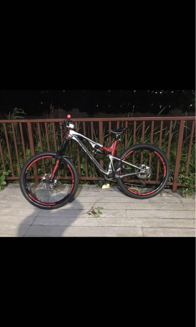 intense recluse for sale