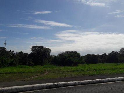 10000 sqm vacant industrial lot for rent in cabuyao laguna