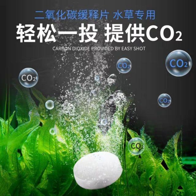 Aquarium Fish Shrimp Plant Premium Co2 Tablet Pet Supplies Pet Accessories On Carousell