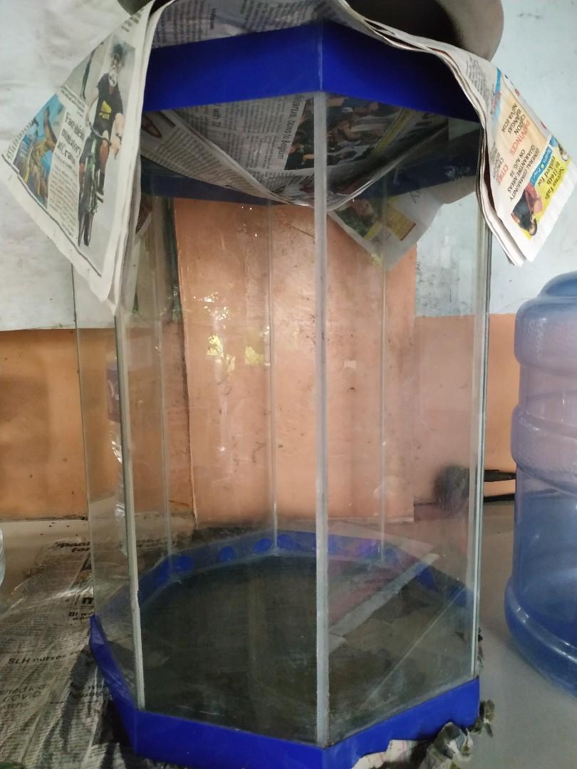 large octagon fish tank