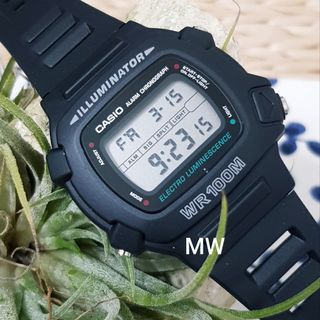 casio 1289 dw 1523 nb