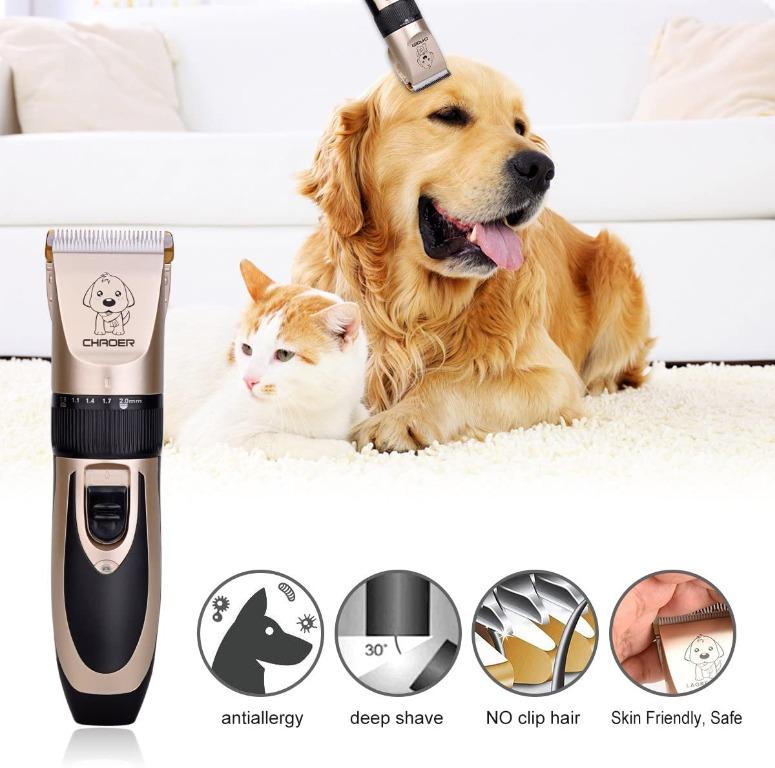 Electric razor for sales dogs
