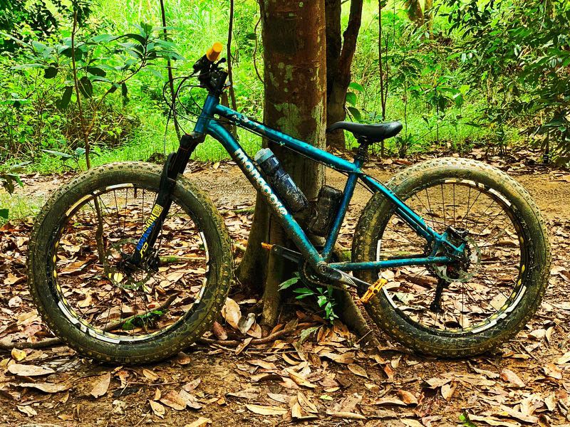 mongoose argus