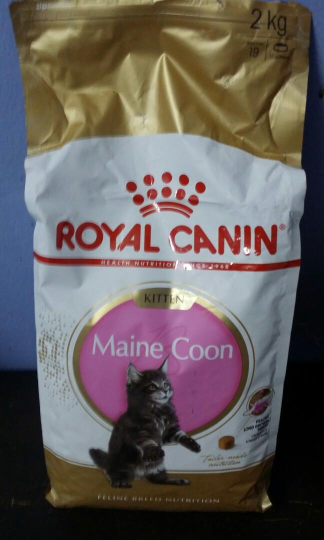 royal canin maine coon kitten dry food