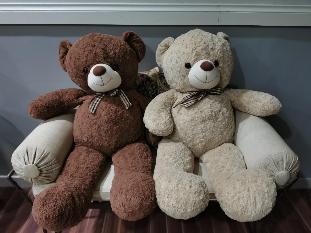 Bear besar new arrivals