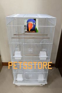 (Category: ) located in . Submitted by petsstore (Listing ID 1040686606, Image 1). Description: .
