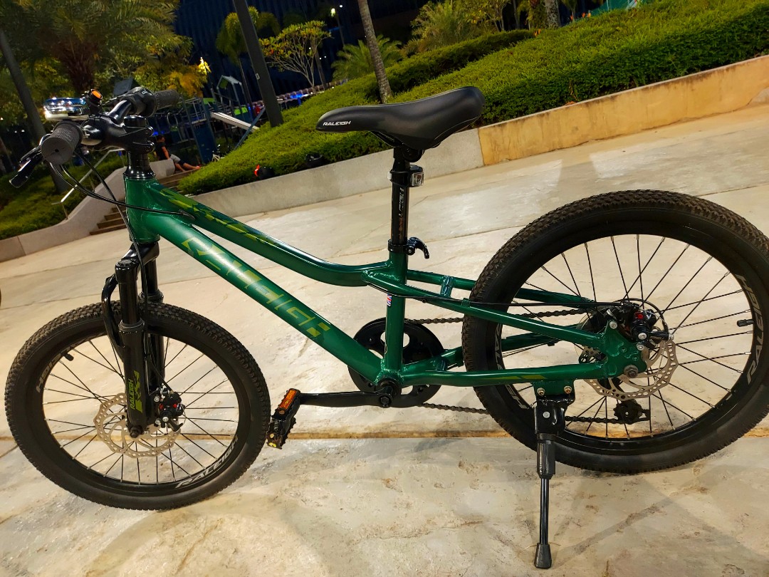 Raleigh kids mountain deals bike
