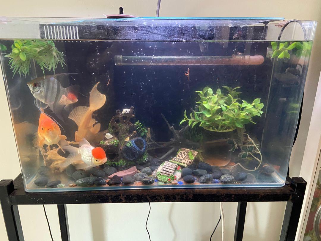 2 feet aquarium decoration clearance