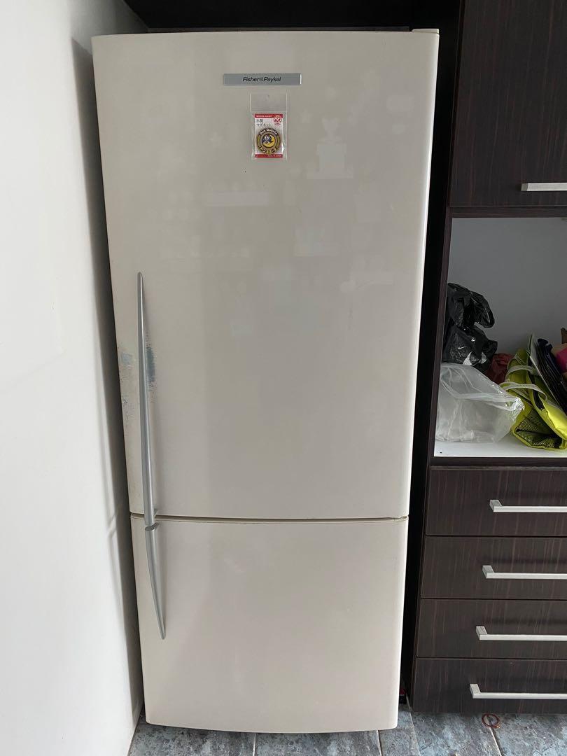 Fisher & Paykel E442B Refrigerator, TV & Home Appliances, Kitchen