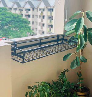 Hanging plant rack