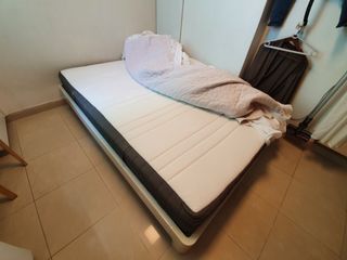 （分類：）位於 。 由 alantampl1 提交（商品編號 1040616946，圖片 1）。簡介： 。