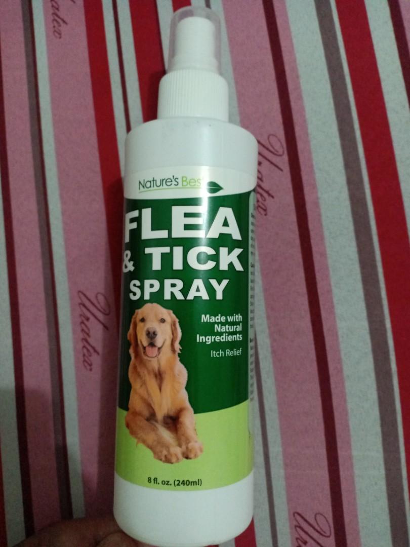 Nature S Best Flea Tick Spray 240ml Pet Supplies Health Grooming On Carousell