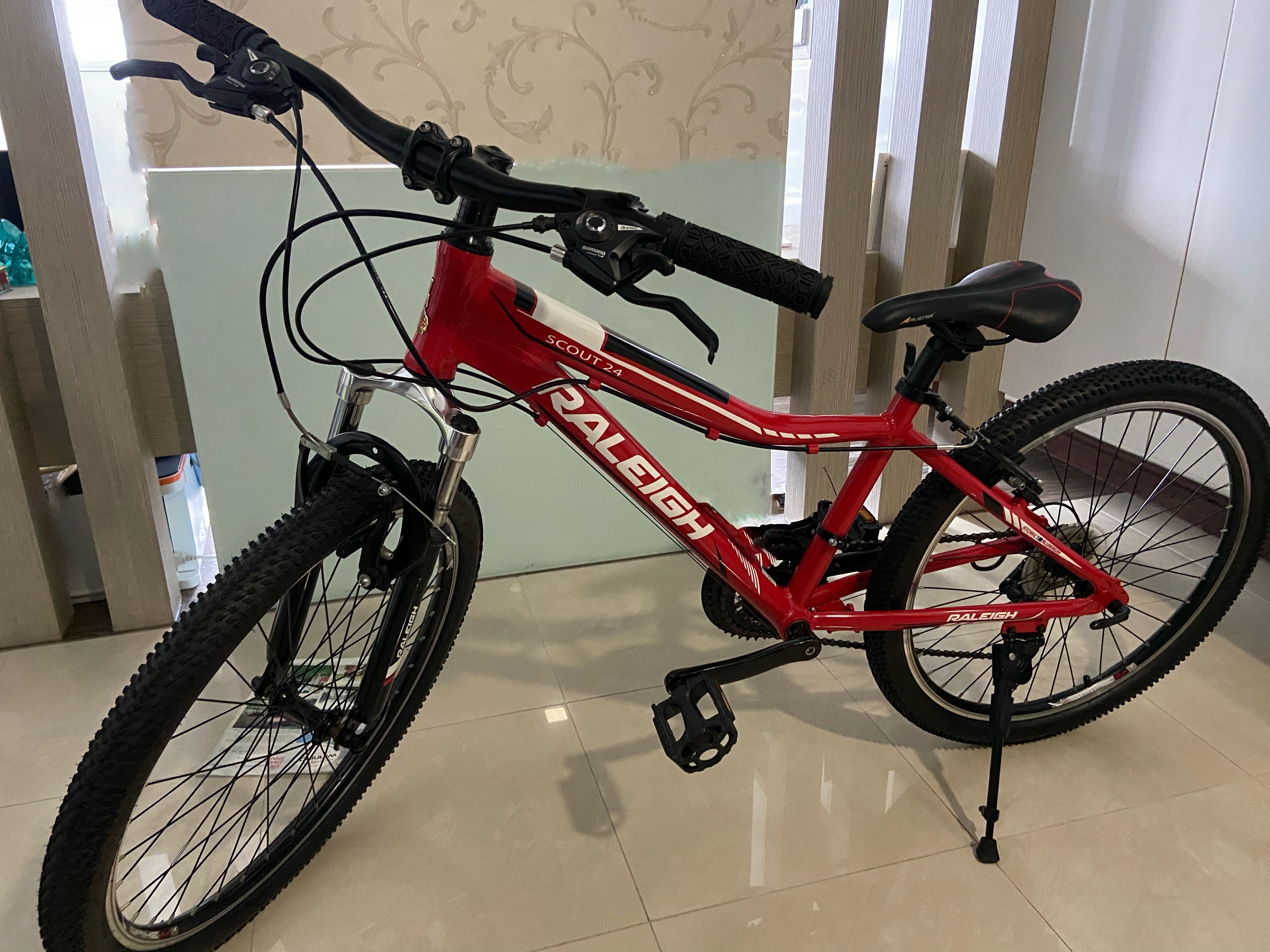 Raleigh mountain bikes for sale cheap