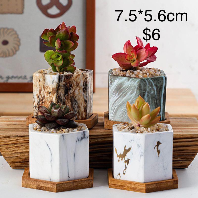 Small Ceramic Flower Pot Cactus Succulent Plants Gardening Gardening Tools Ornaments On Carousell