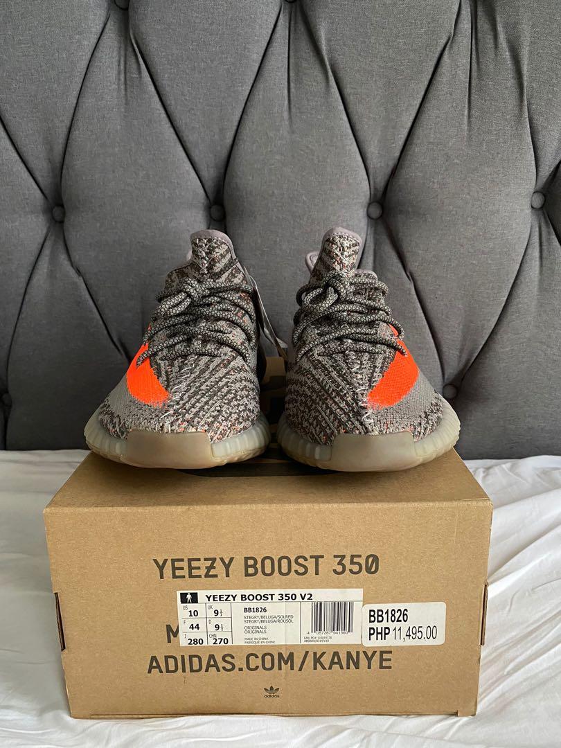 beluga v 1