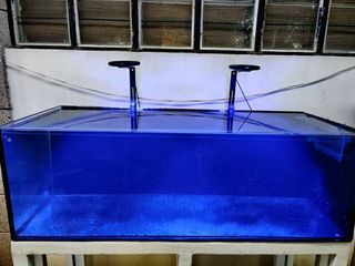 (Category: ) located in . Submitted by zoanthid (Listing ID 1040910978, Image 1). Description: .