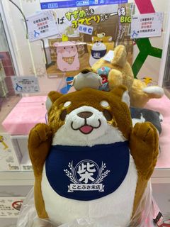 （分類：）位於 。 由 ms_tiffany 提交（商品編號 1041067823，圖片 1）。簡介： 。