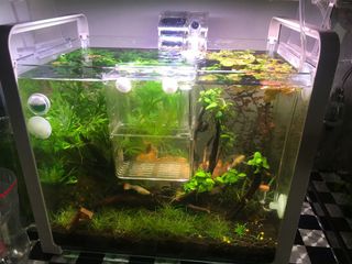 (Category: ) located in . Submitted by rjaydomingo (Listing ID 1040923394, Image 1). Description: .
