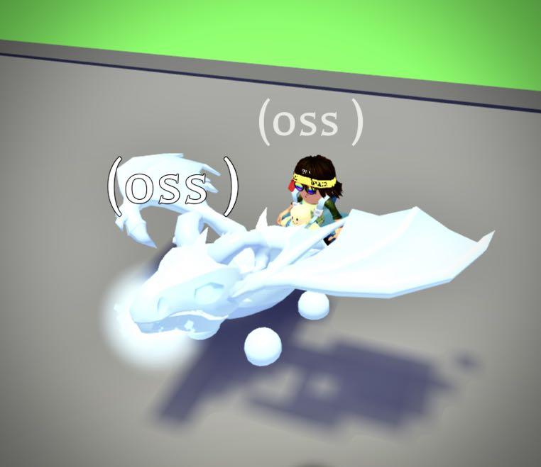 Frost Dragon Fly Ride Adopt Me F L Toys Games Video Gaming In Game Products On Carousell - details about roblox adopt me legendary flyride neon frost dragon