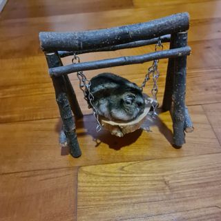 (Category: ) located in . Submitted by hammypals2 (Listing ID 1040928101, Image 1). Description: .
