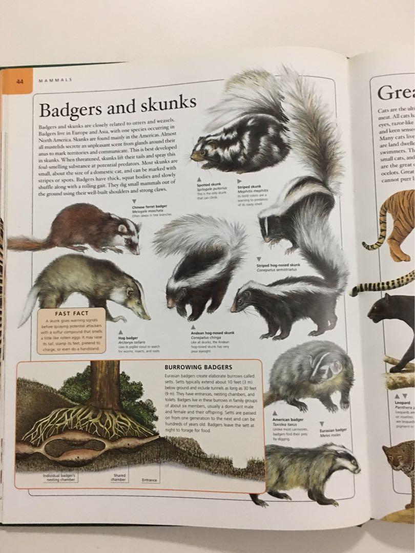 National Geographic Animal Encyclopedia: 2,500 Animals with Photos, Maps,  and More!: Spelman, Lucy: 8601200553468: : Books