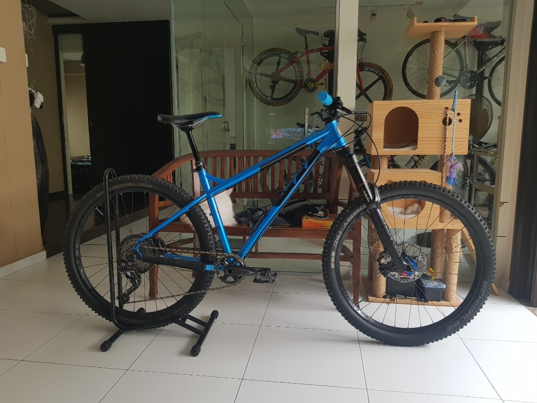 Ragley bluepig 2018