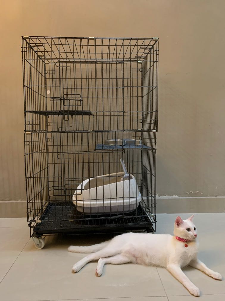 cat cage with litter box