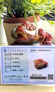 (Category: ) located in . Submitted by minglang (Listing ID 1041198687, Image 1). Description: .