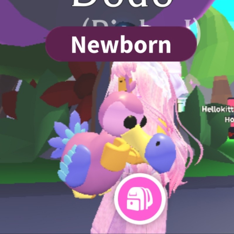 Adopt me Dodo, Hobbies & Toys, Toys & Games on Carousell