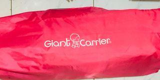 Giant carrier baby crib