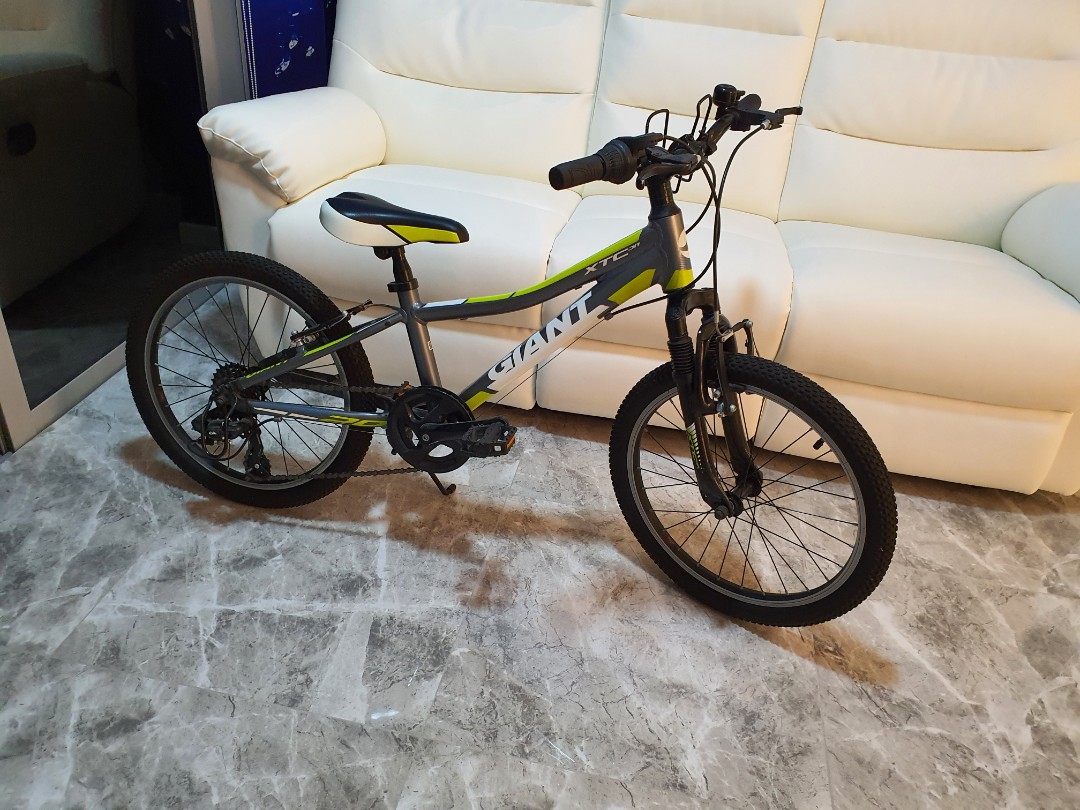 Giant XTC Junior 20 inch wheels Sports Equipment Bicycles