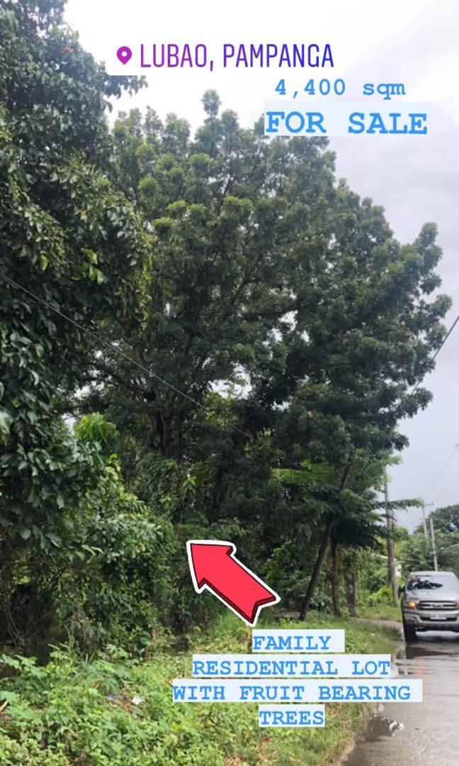 Prime Residential Lot in Concepcion, Lubao, Property, For Sale, Lot on