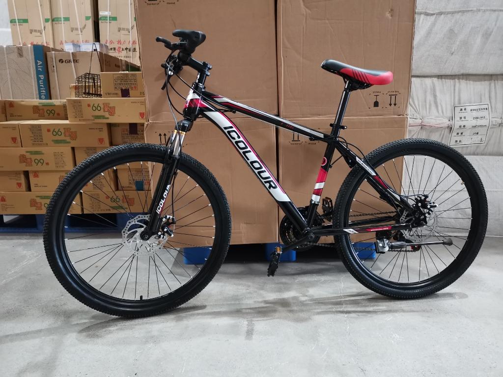 icolour mountain bike