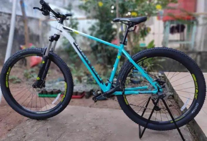 Xtrada limited edition 2021 online