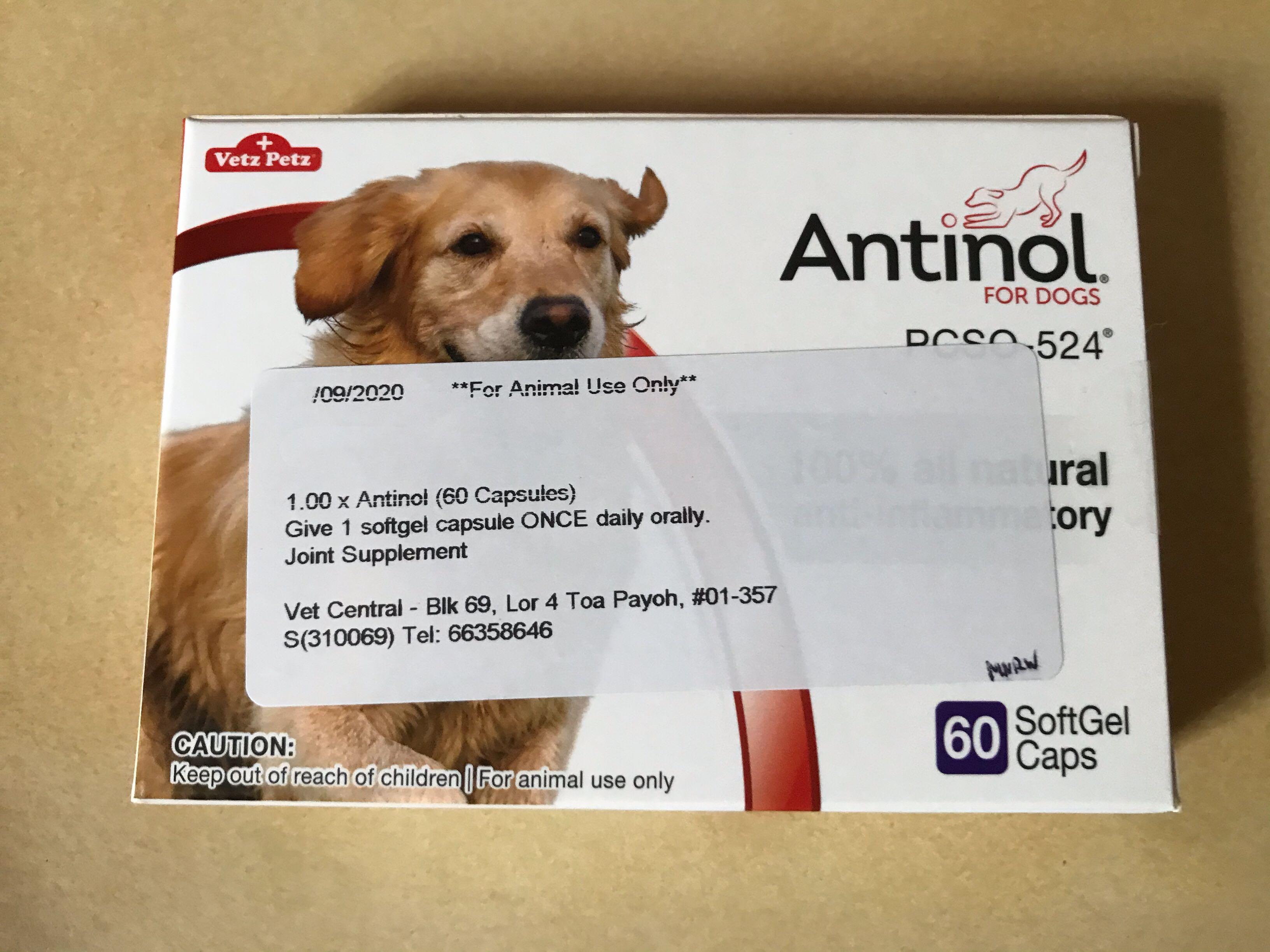 Antinol for dogs chewy hot sale