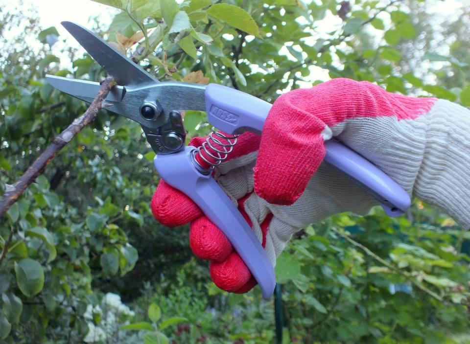 ARS 140DX Pruning Shears (Made in Japan), Furniture & Home Living, Home