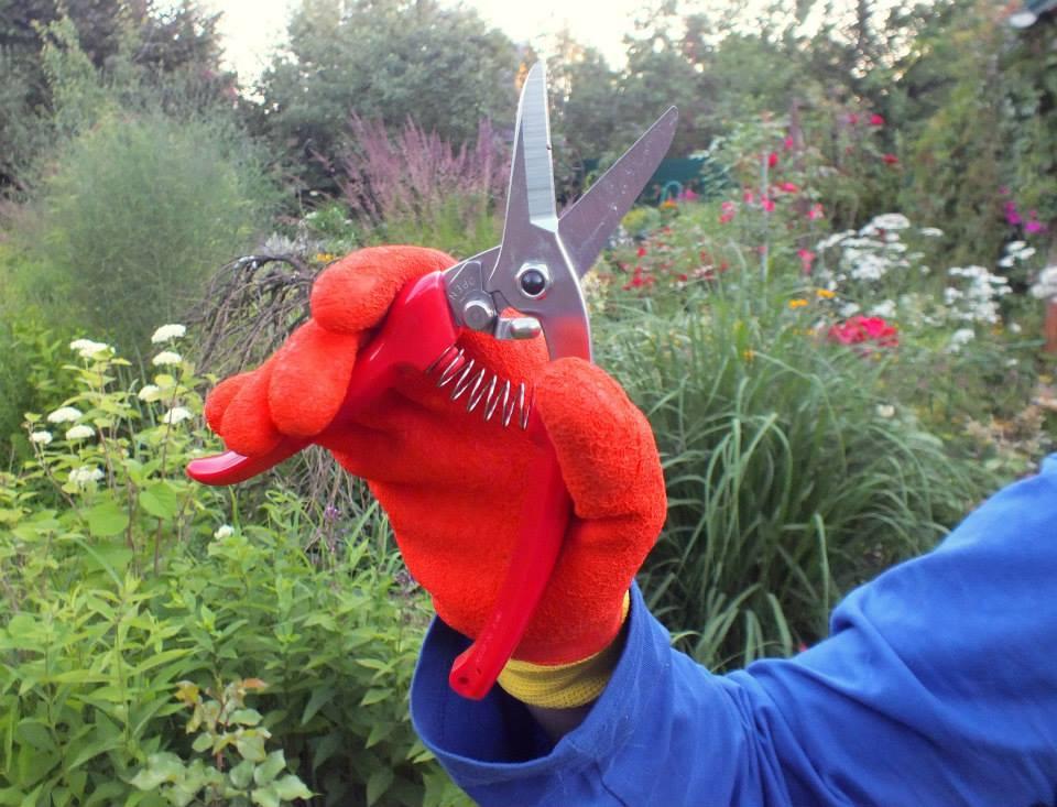 ARS 140DX Pruning Shears (Made in Japan), Furniture & Home Living, Home