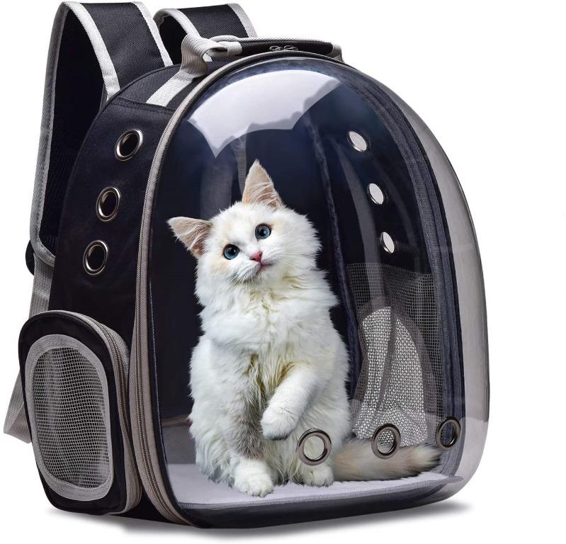 dog backpack with bubble