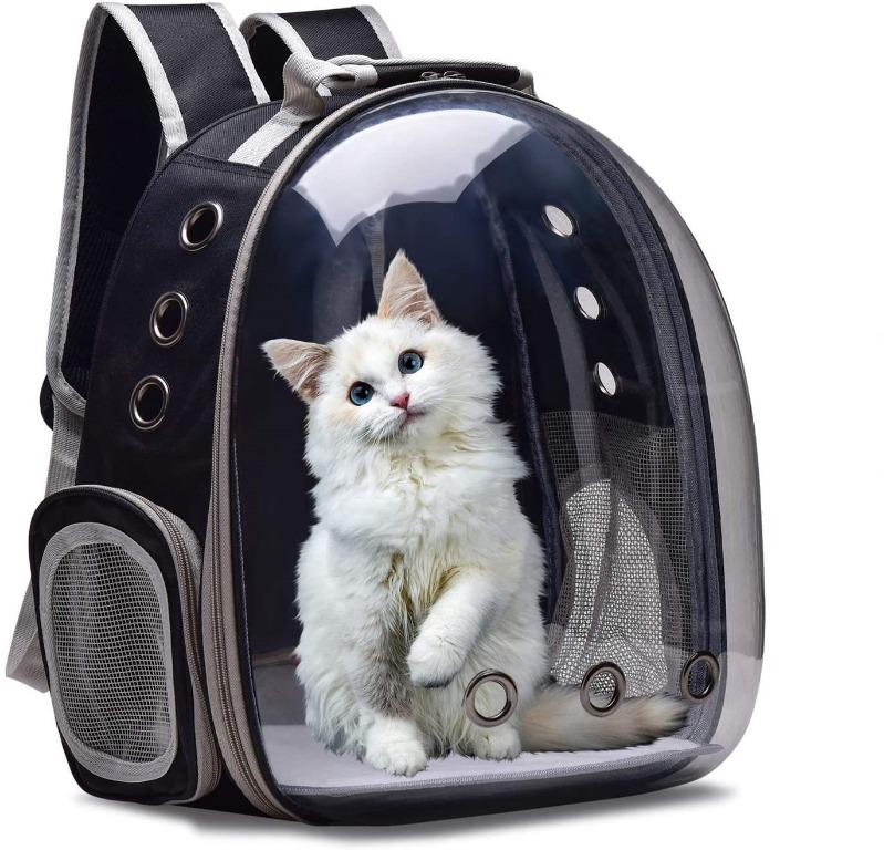 Airline approved shop bird carriers