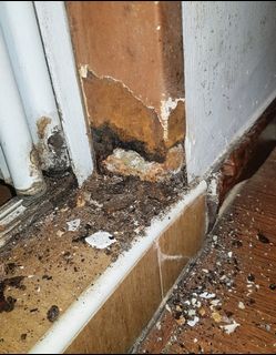 (Category: ) located in . Submitted by ij_home_maintenance (Listing ID 1041701027, Image 1). Description: .