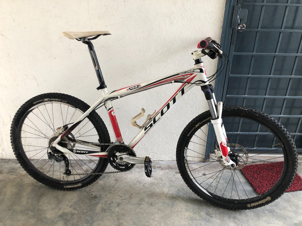 Scott scale 26 top