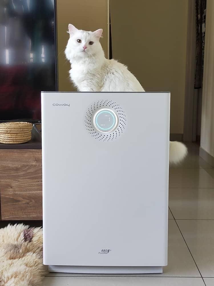 coway air purifier lombok 3 Welcome To Samta Energy