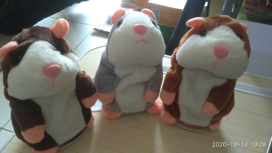 hamster talking