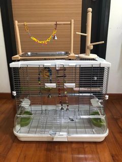 (Category: ) located in . Submitted by happylucky99 (Listing ID 1041862856, Image 1). Description: .
