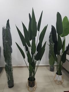 Skybird 160cm Home Furniture Home Decor On Carousell