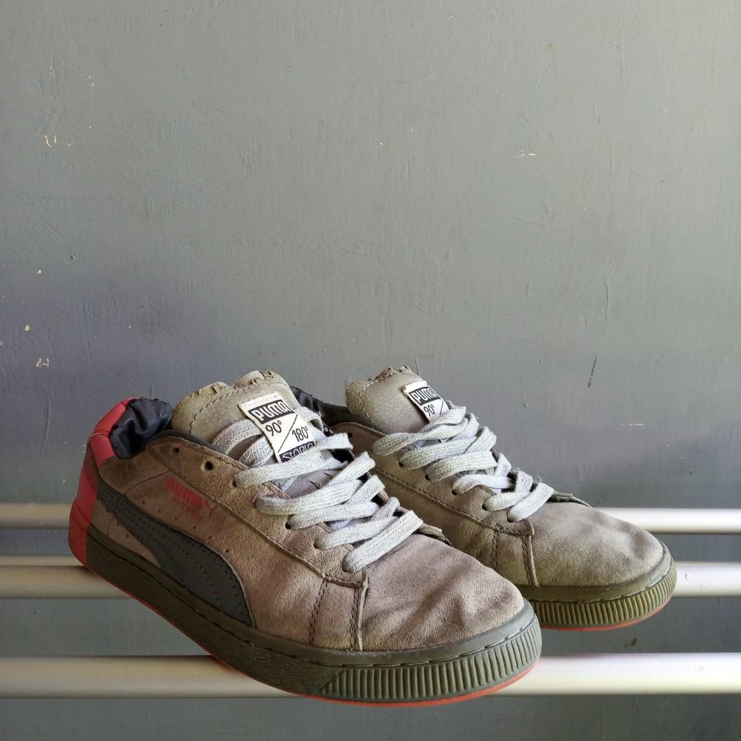 puma pigeons